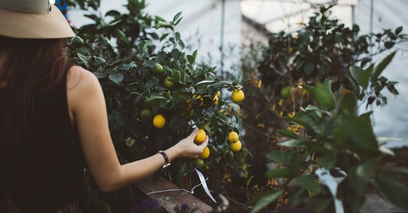 What Is the Difference Between Karma and Reaping What You Sow?