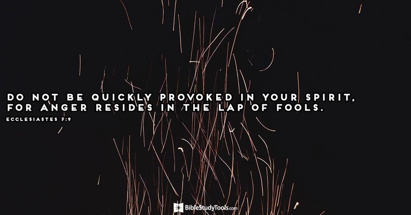 Your Daily Verse - Ecclesiastes 7:9