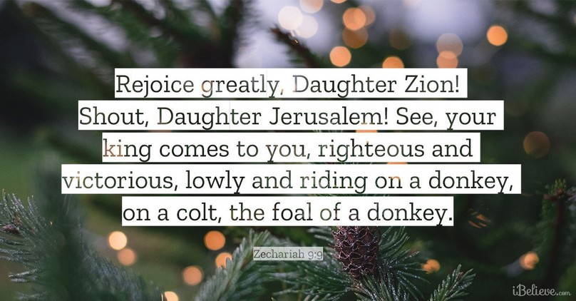 Your Daily Verse - Zechariah 9:9