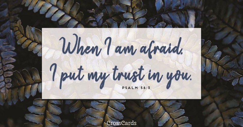 Your Daily Verse - Psalm 56:3