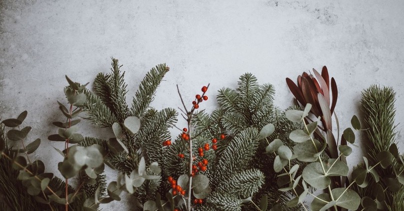 How to Prepare: Reflections on Advent from Germany