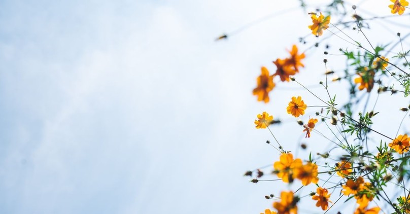 What is the Peace of God? How to Have Supernatural Peace