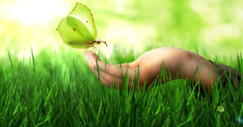 How to Notice Miracles in the Mundane