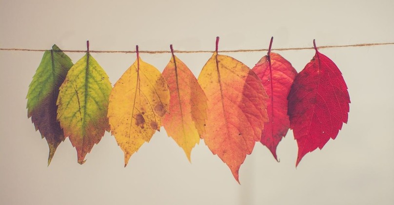What the Change of Seasons Shows Us About Our Faith