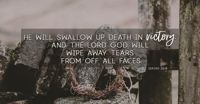 Your Daily Verse - Isaiah 25:8