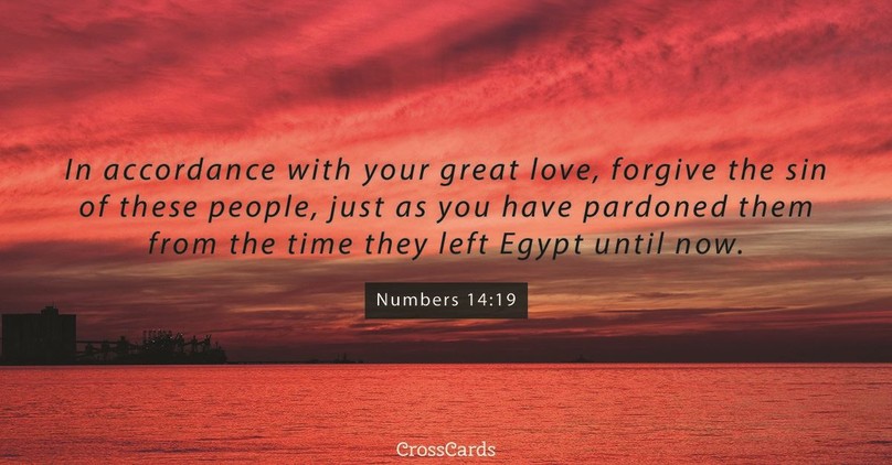 Your Daily Verse - Numbers 14:19