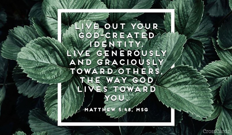 Your Daily Verse - Matthew 5:48