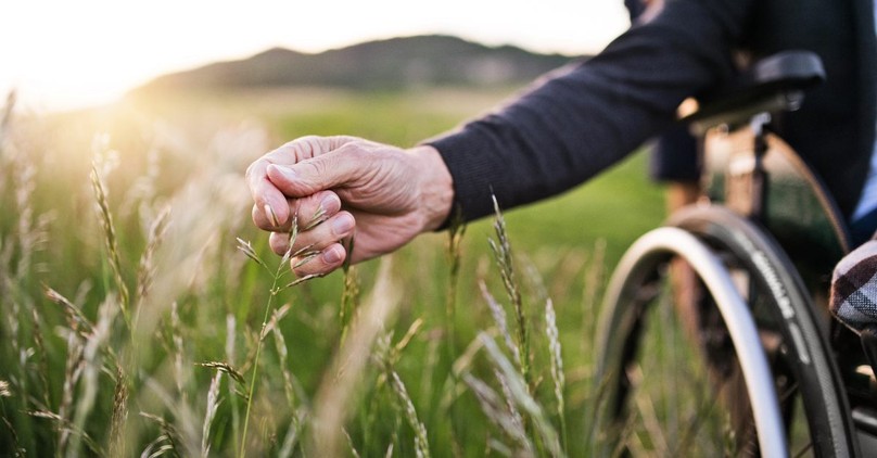 How Did Jesus Treat People with Disabilities in the Bible?