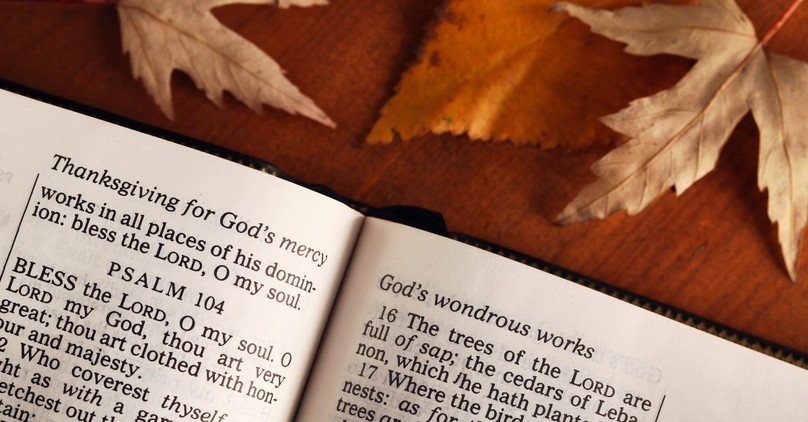 20 Scriptures to Reflect on for the Thanksgiving Holiday