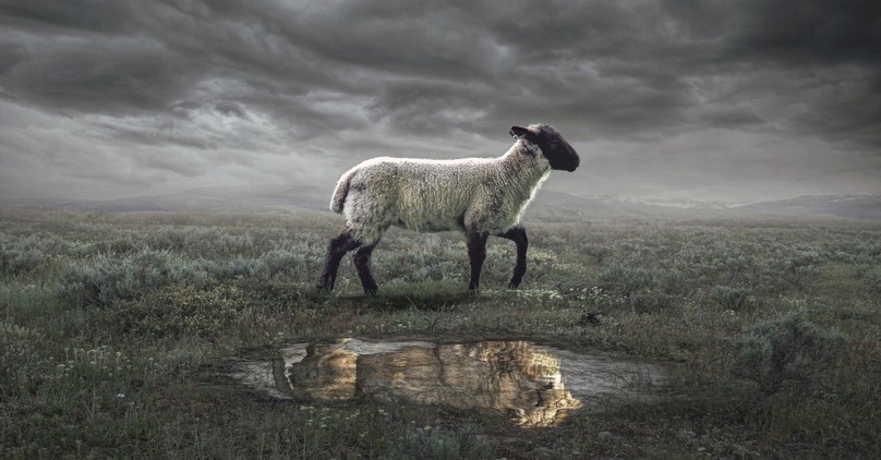 What Does It Mean that Jesus Is the Lamb of God?