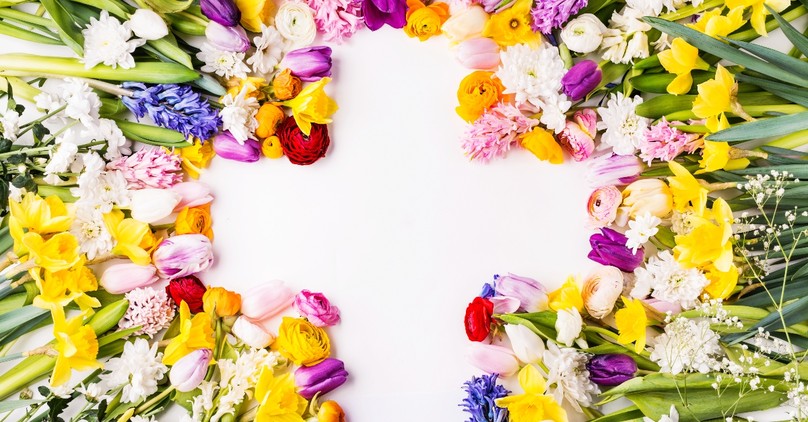 Holy Week Timeline Explained from Palm Sunday to Resurrection Sunday