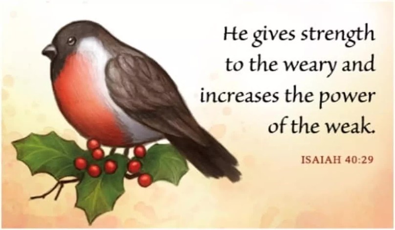 Your Daily Verse - Isaiah 40:29