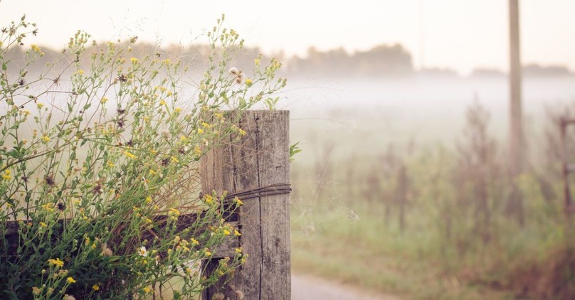 20 Morning Blessing Quotes to Start Your Day