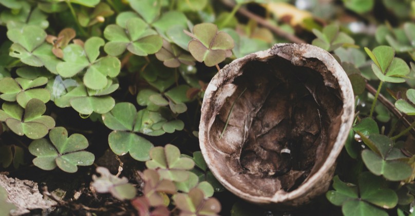 How to Fast for God in This Season of Lent