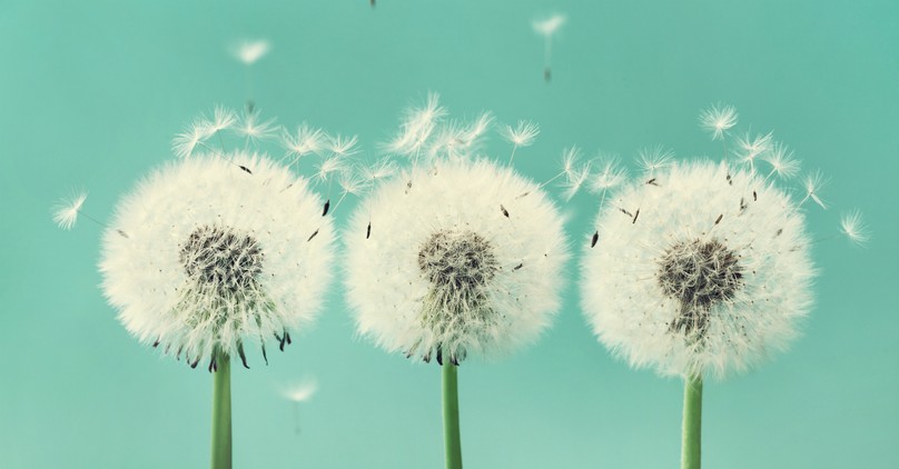 5 Incredible Lessons about the Trinity