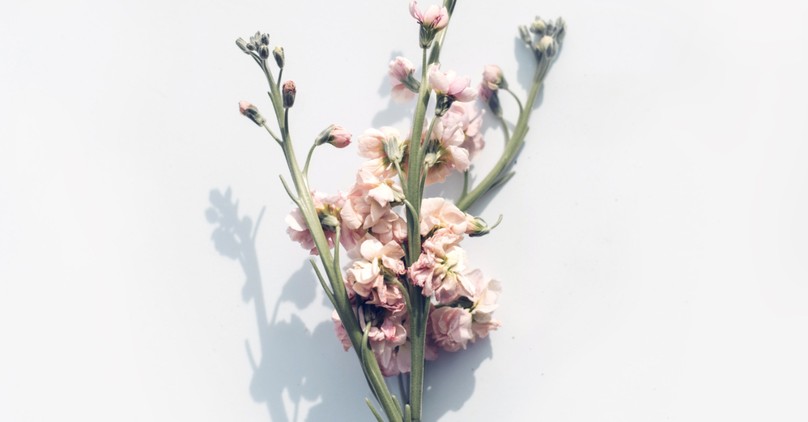 An Easter Sunday Prayer and Blessing