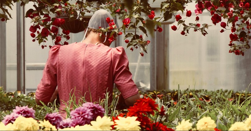 10 Things to Know about Mennonite Women