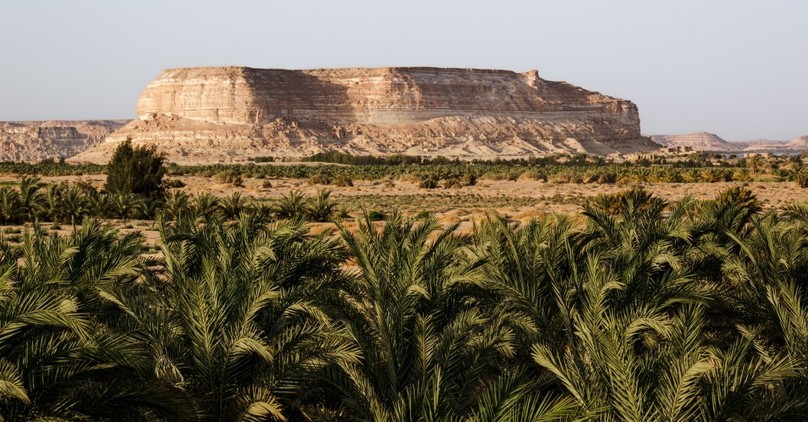 How I Learned to Navigate Seasons of Spiritual Dryness