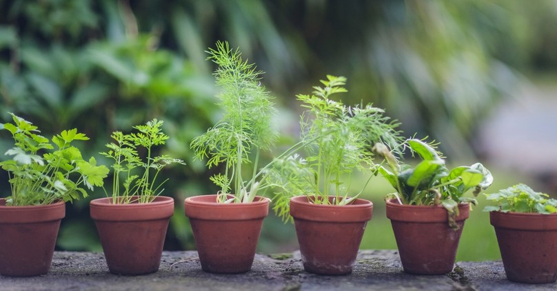 3 Ways to Cultivate Mental Peace This May