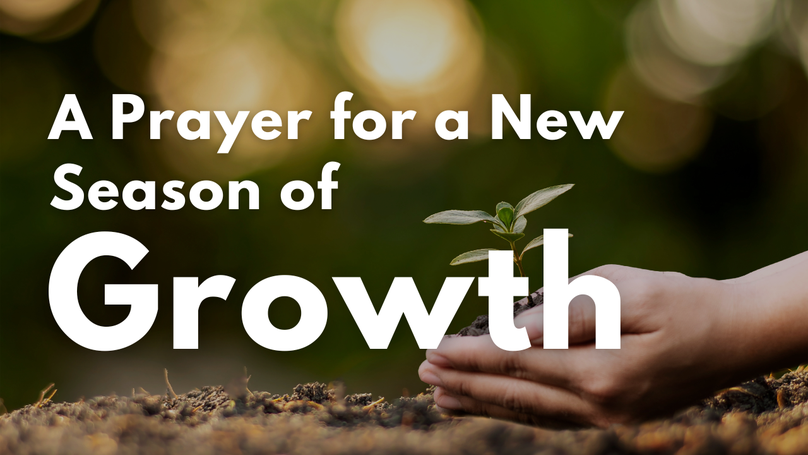 A Prayer for a New Season of Growth | Your Daily Prayer