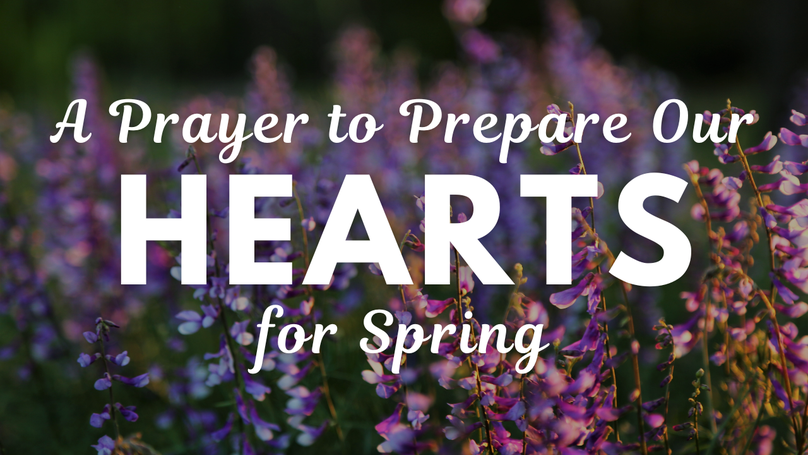 A Prayer to Prepare Our Hearts for Spring | Your Daily Prayer