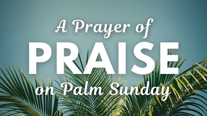 A Prayer of Praise on Palm Sunday | Your Daily Prayer