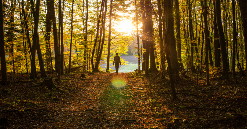 Are You Following God’s Lead? How to Stay on His Path and Avoid Distractions