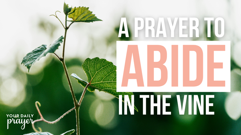 A Prayer to Abide in the Vine | Your Daily Prayer