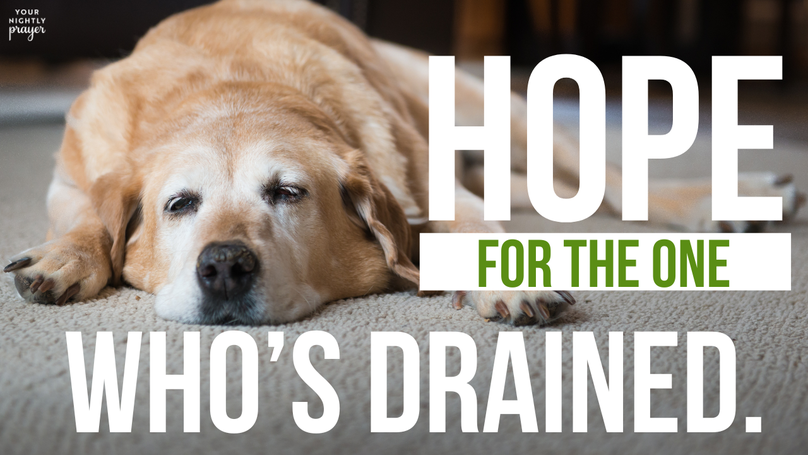 Hope for the One Who’s Drained | Your Nightly Prayer