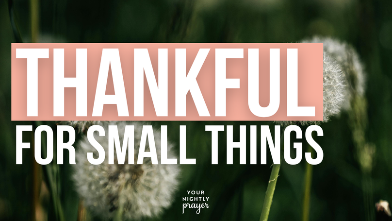 Thankful for Small Things | Your Nightly Prayer