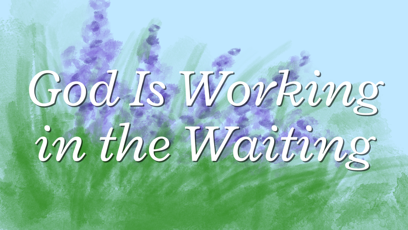 God Is Working in the Waiting | Your Nightly Prayer