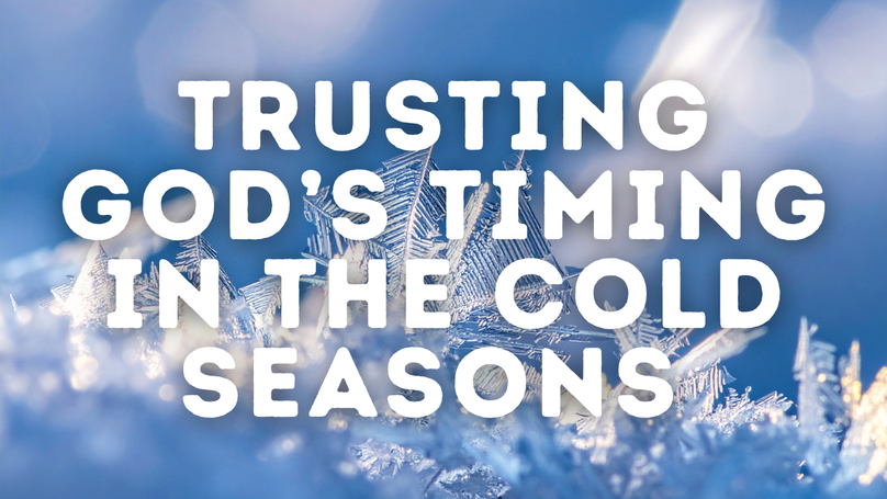 Trusting God’s Timing in the Cold Seasons | Your Nightly Prayer