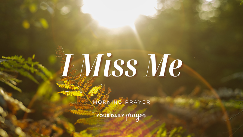 A Prayer for Those Who Have Lost Their Muchness | Your Daily Prayer