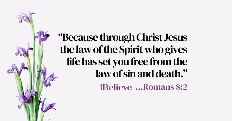 Your Daily Verse - Romans 8:2 - July 29th