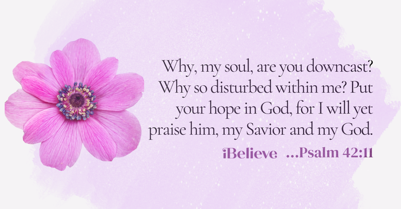 Your Daily Verse - Psalm 42:11 - August 3rd