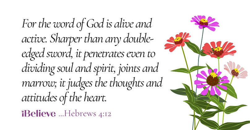 Your Daily Verse - Hebrews 4:12 - August 14th