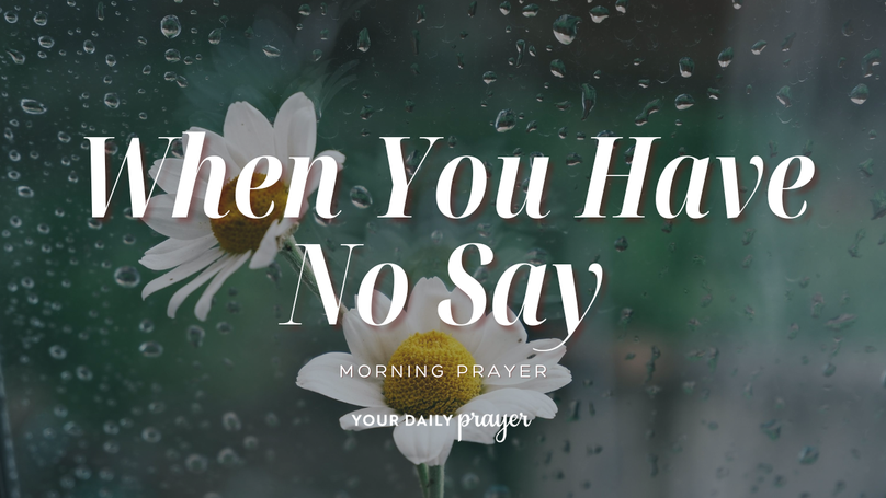 A Prayer When You Don’t Really Get a Vote | Your Daily Prayer