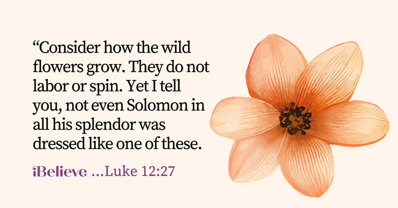 Your Daily Verse - Luke 12:27 - September 6th