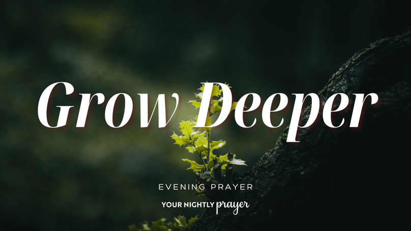 A Prayer for Deeper Roots | Your Nightly Prayer
