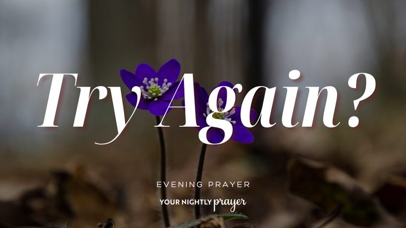 Trusting God with What You’re Picking Back Up | Your Nightly Prayer