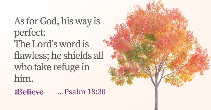 Your Daily Verse - Psalm 18:30 - October 15th