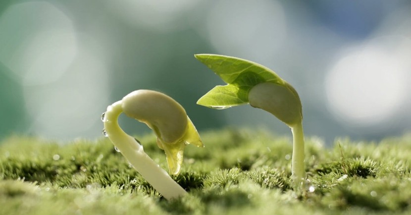 Bible Verses about New Beginnings