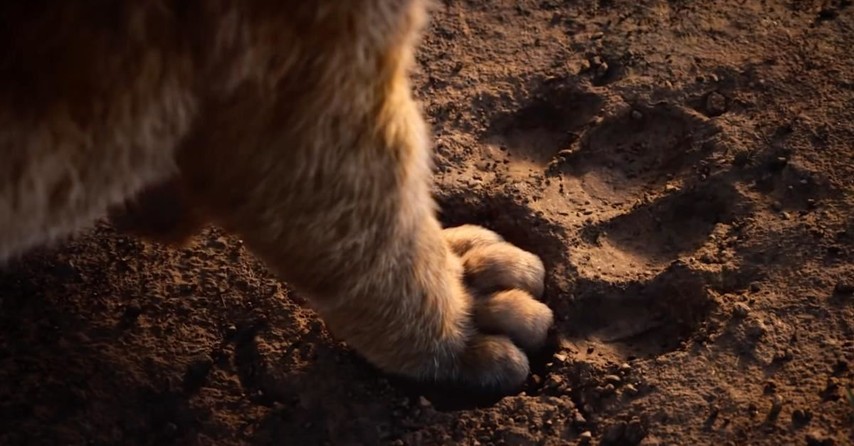 6. “You have forgotten who you are and so forgotten me.” -Mufasa