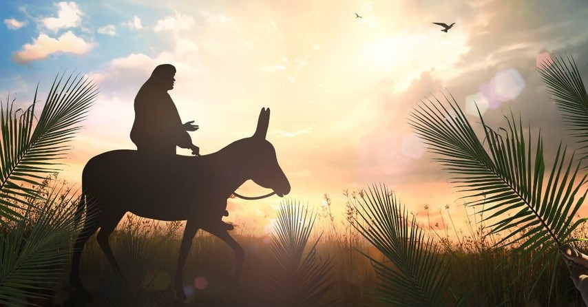 1. Zechariah 9:9 – A King on a Donkey (Messiah Part I)