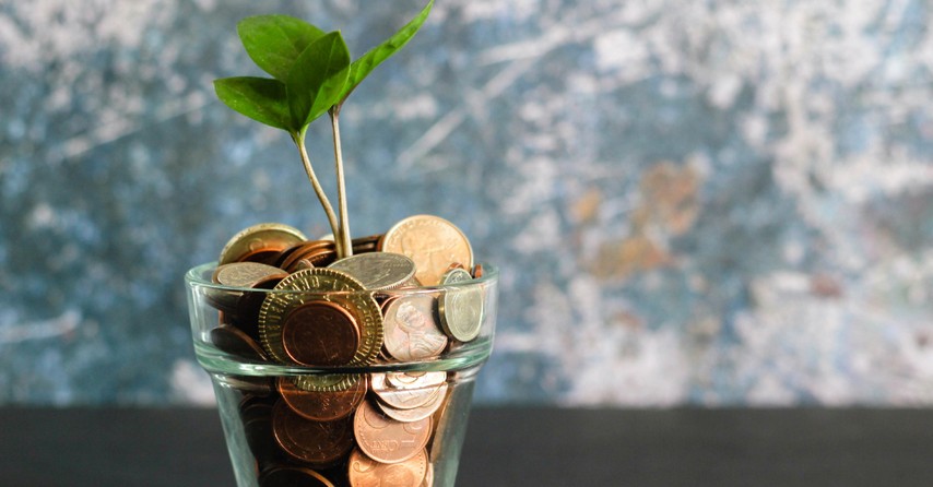 sprout growing from jar of coins giving