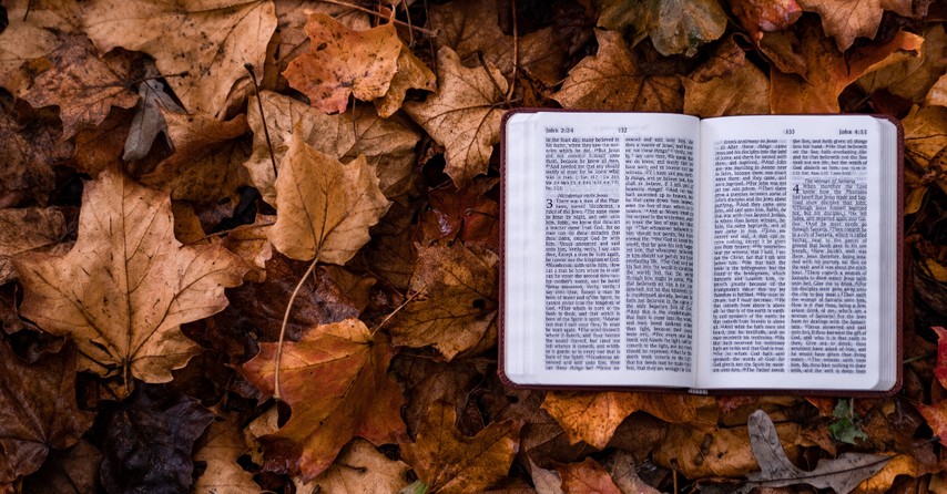 Open Bible atop a pile of autumn leaves