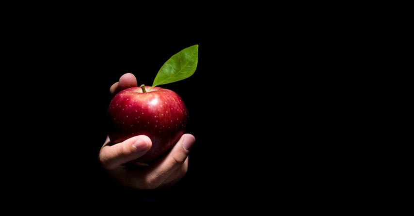 Apple held in a hand