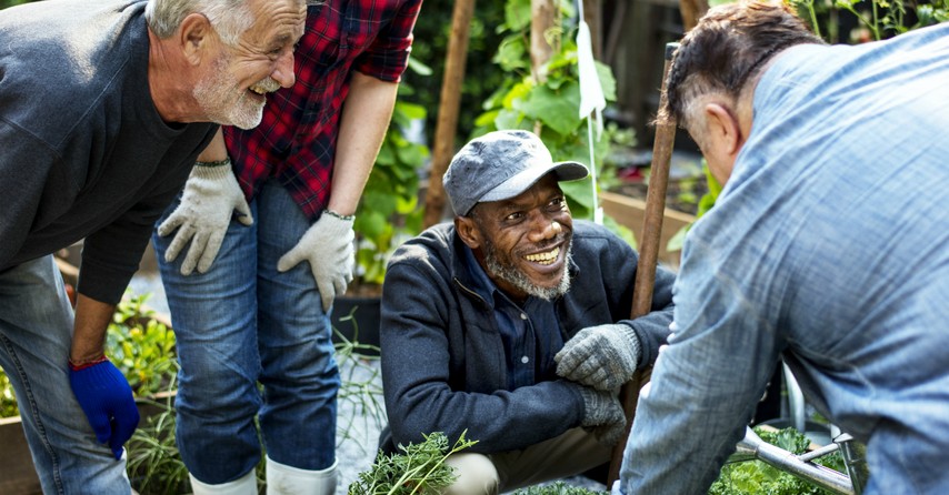 senior friends working in community garden together