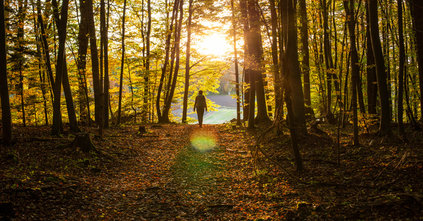 4 Bible Verses to Help You Stop Living in the Past