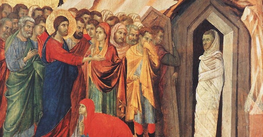 Everything They Want to Know about Jesus (but Have Been Afraid to Ask)